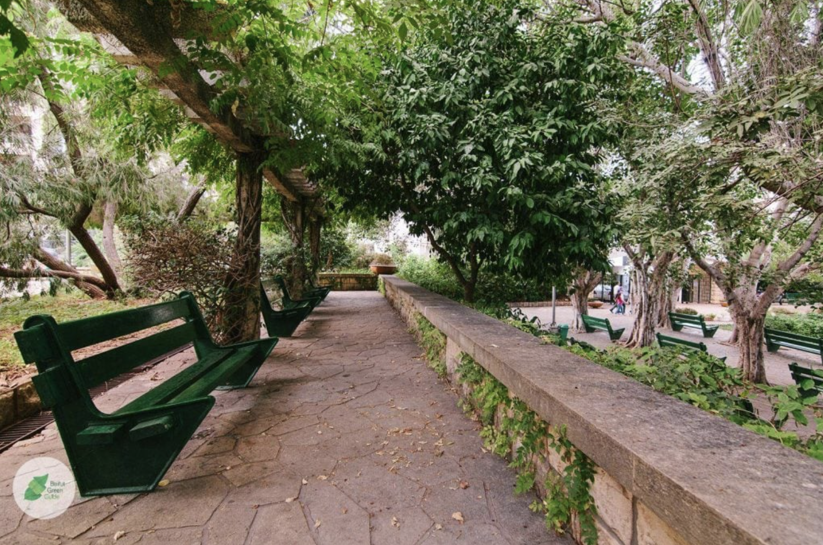 حديقة السيوفي